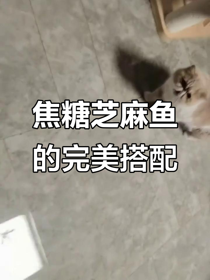 焦糖芝麻鱼,鲜味十足又美观