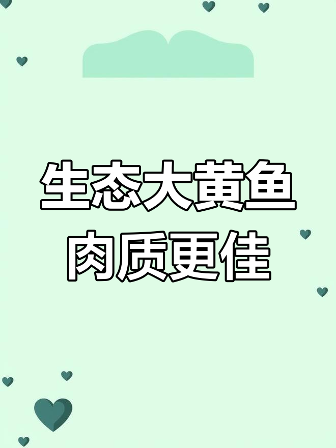 大黄鱼养殖的两种方式,你了解吗?