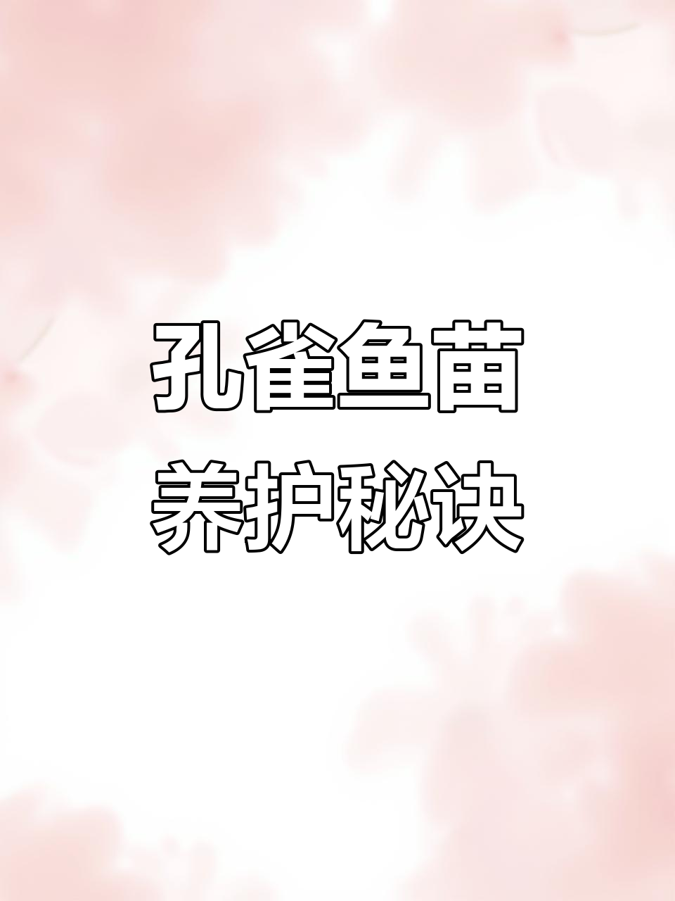 孔雀鱼苗易养,别慌张,控制好手就能轻松照顾