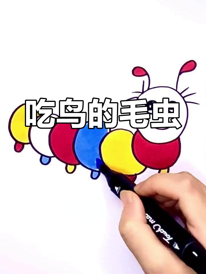 毛虫也能吃小鸟,海岛惊现食肉“杀手”