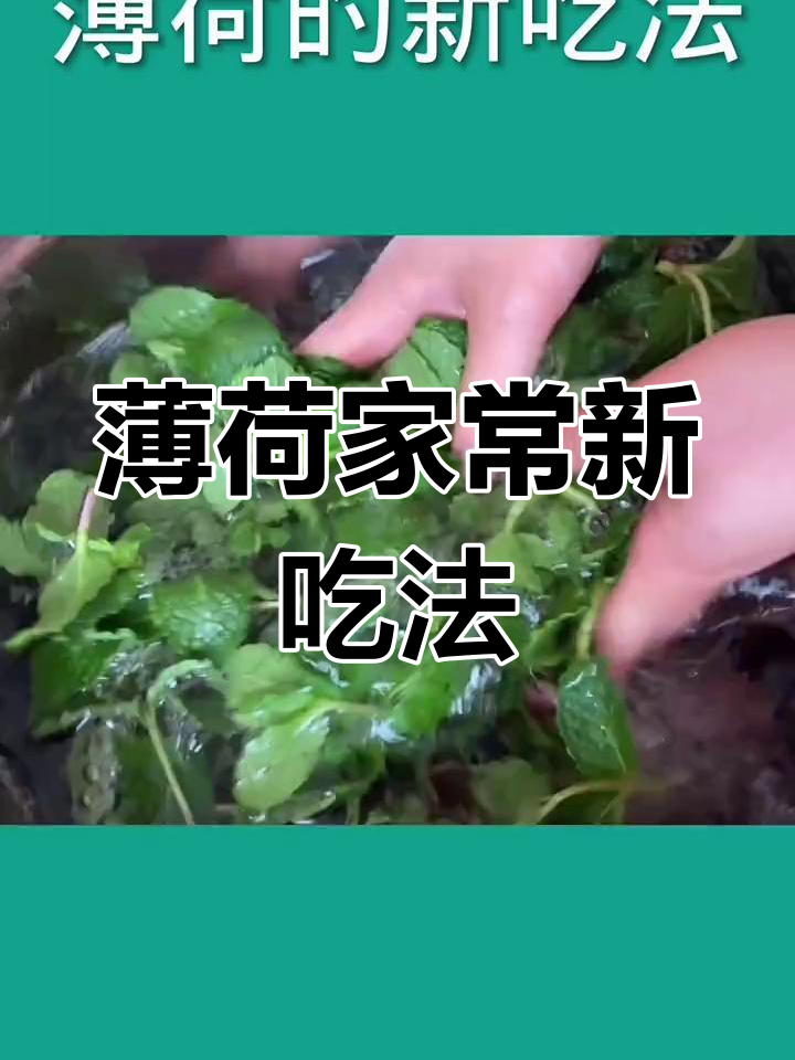 薄荷新做法,姜葱猪油炒出独特香气