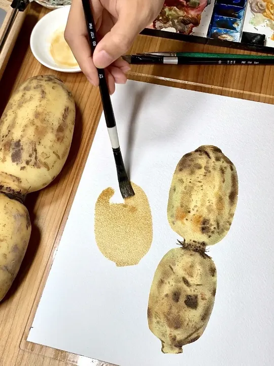 藕的水彩手绘绘画全过程及详细讲解