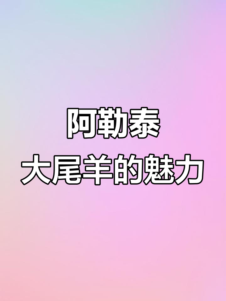 阿勒泰大尾羊:屁股摇摆如卡戴珊,肉质鲜美无膻味