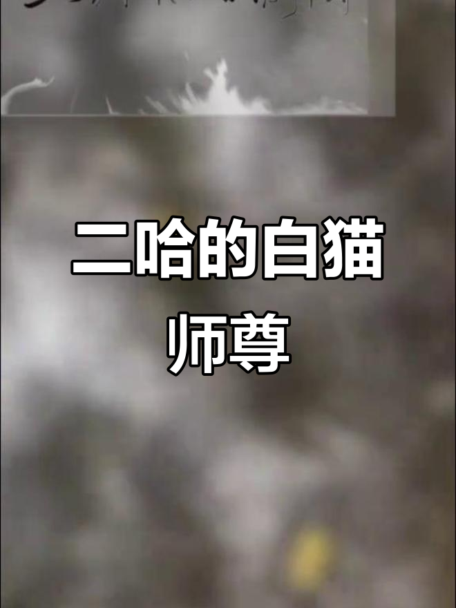 二哈与白猫师尊的燃晚之旅,车内激情不断