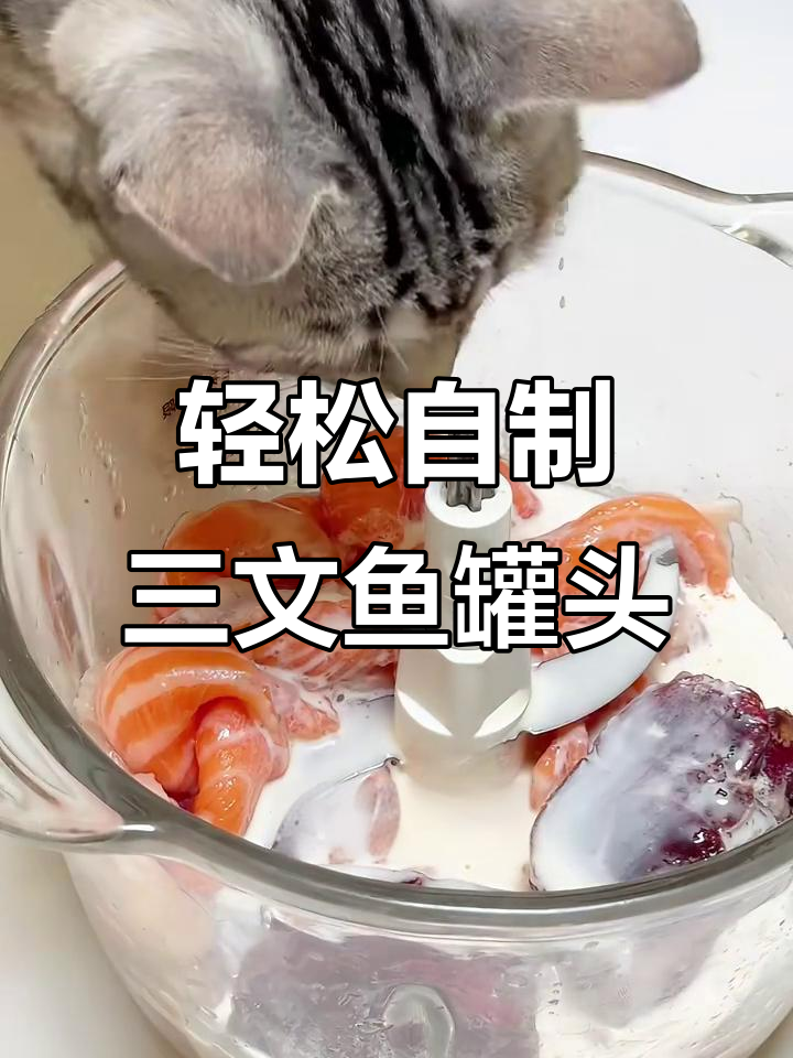 自制三文鱼罐头，超简单步骤教你做美味