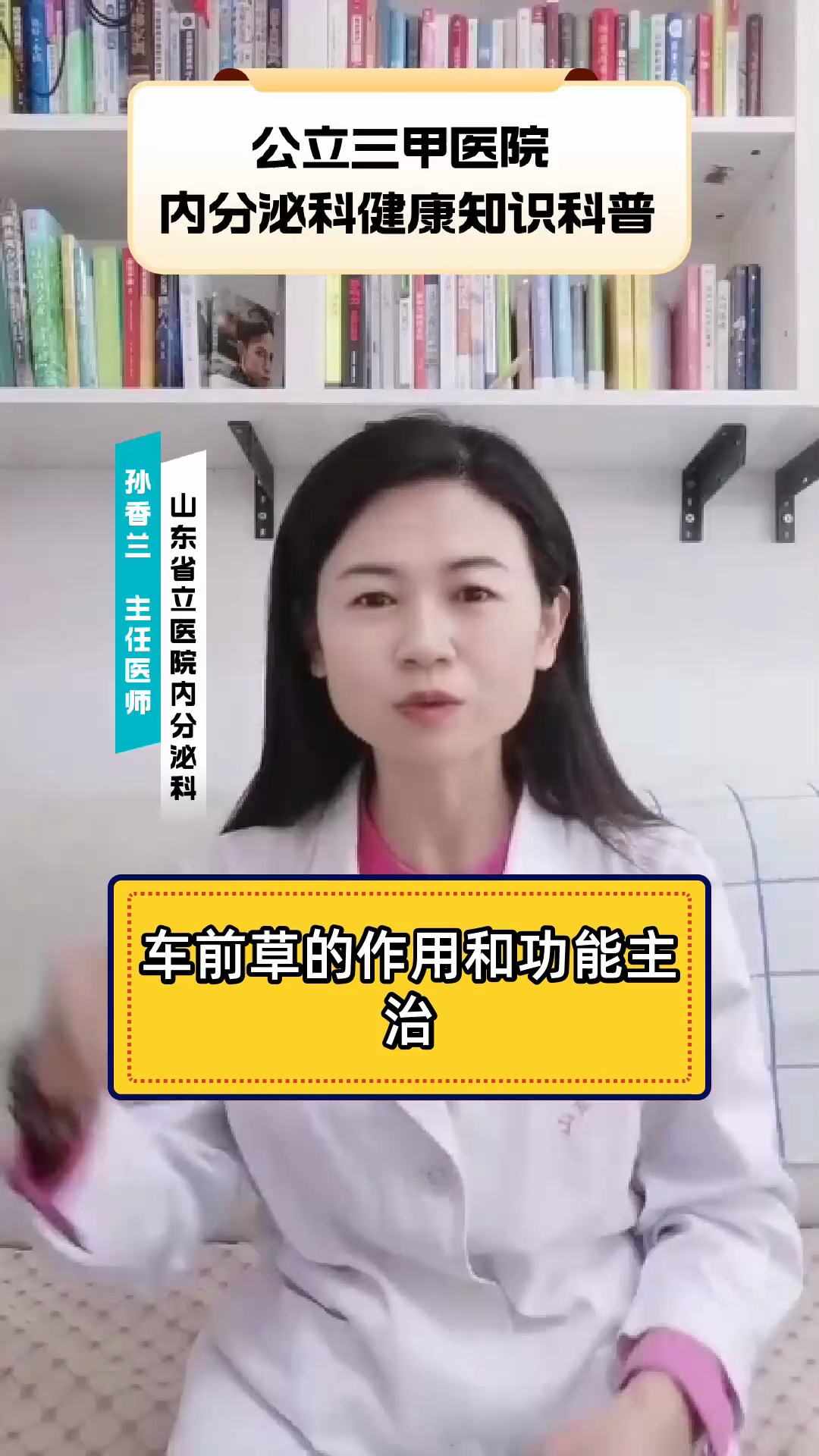 车前草的作用和功能主治