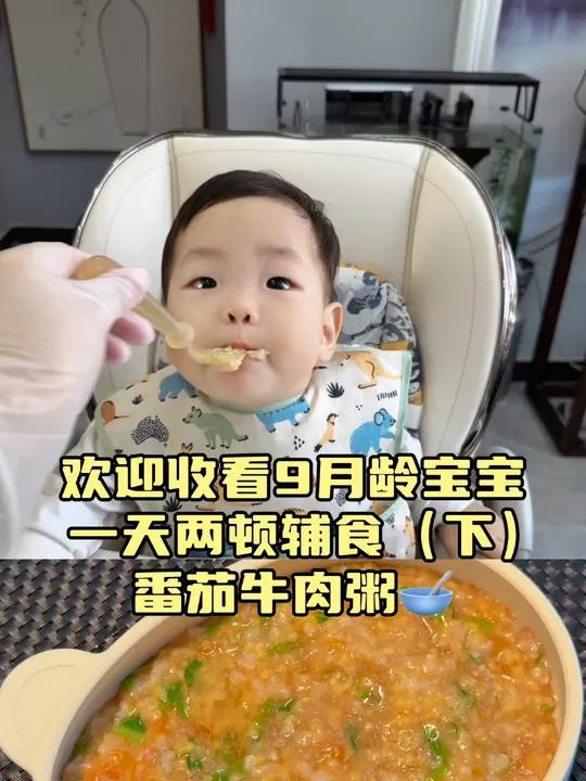 番茄牛肉粥别做错了,这样做营养好吸收,8月龄以上都能安排