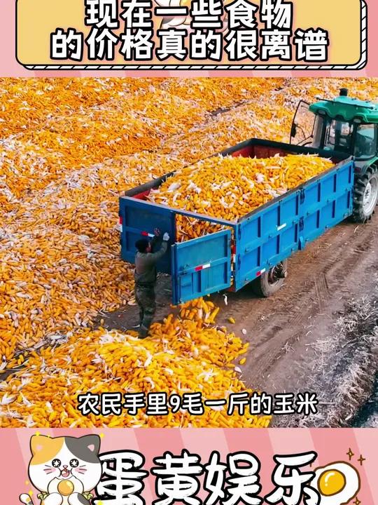现在出门都不敢买东西,面包 水果都是刺客 但真正到农民手里的却没有多少