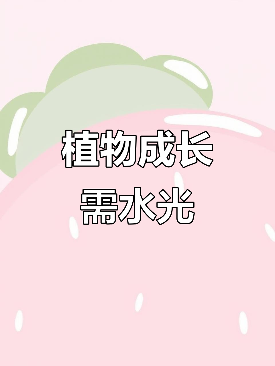 三年级英语:植物生长需要什么?慢速跟读+中文翻译