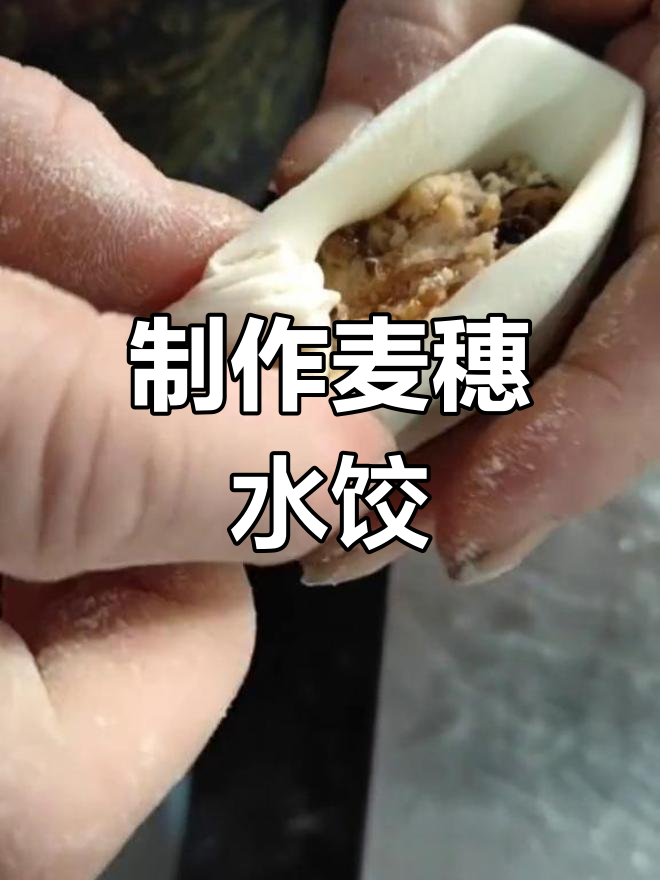 慢动作教你包麦穗水饺
