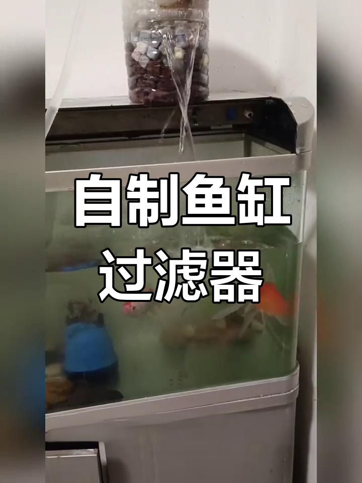 手工鱼缸过滤升级,效果超群!小鱼游得更欢了