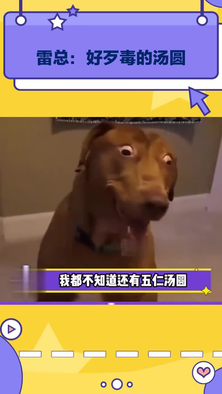 雷总:好歹毒的汤圆