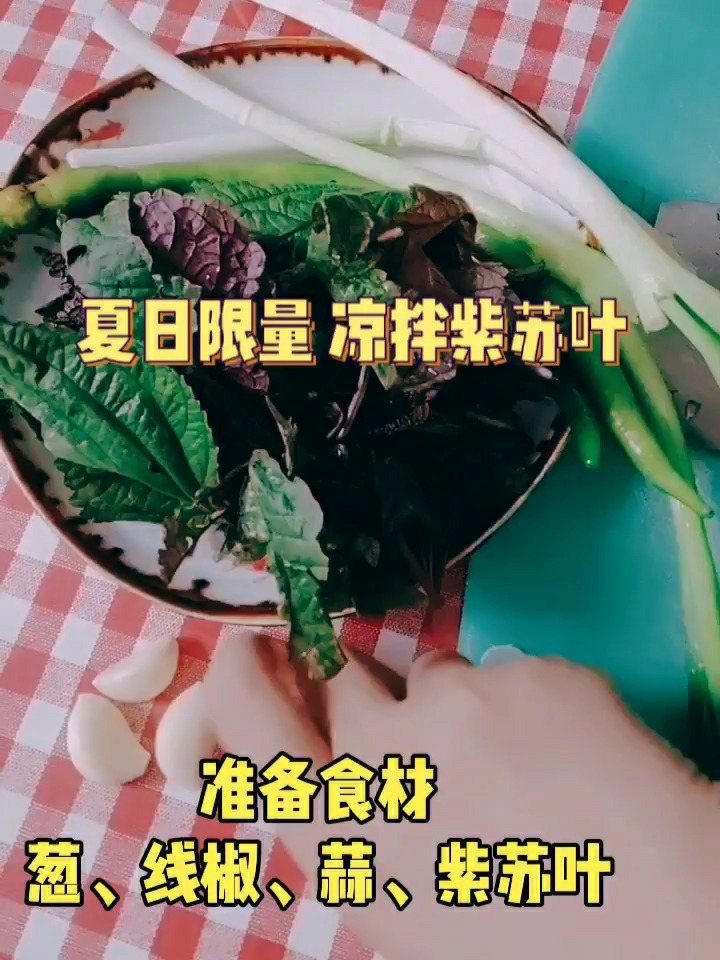凉拌紫苏叶