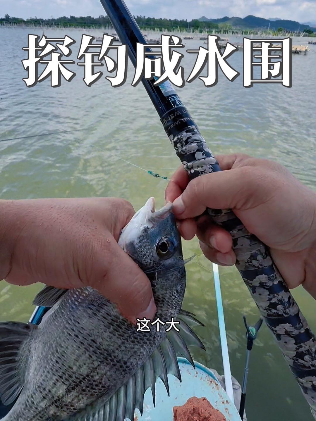 海鱼的魅力果然不是普通鱼种能比的,这种鱼情也太爽了 钓鱼人就是这么疯狂 钓鱼人 光威鱼竿