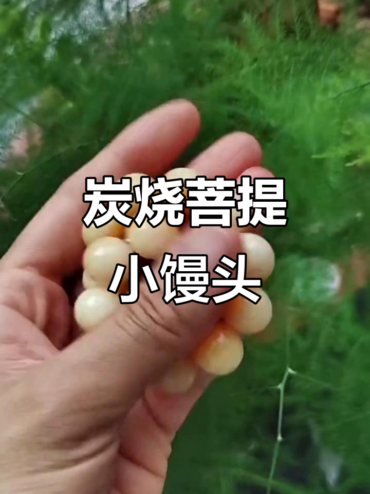 炭烧小馒头,外焦里嫩,口感超乎想象!