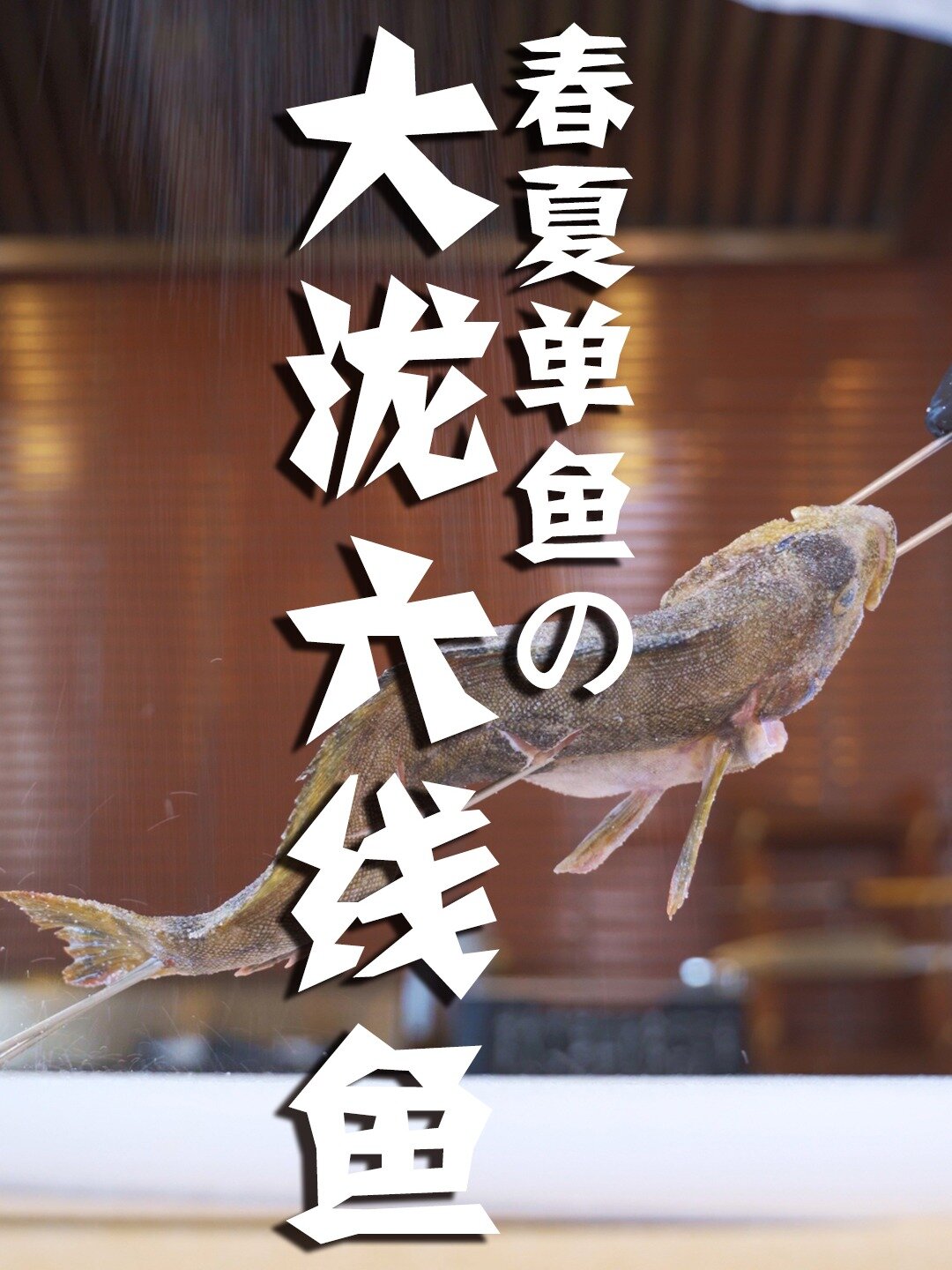 天生拥有肥厚“嘴唇子”的大泷六线鱼来喽!