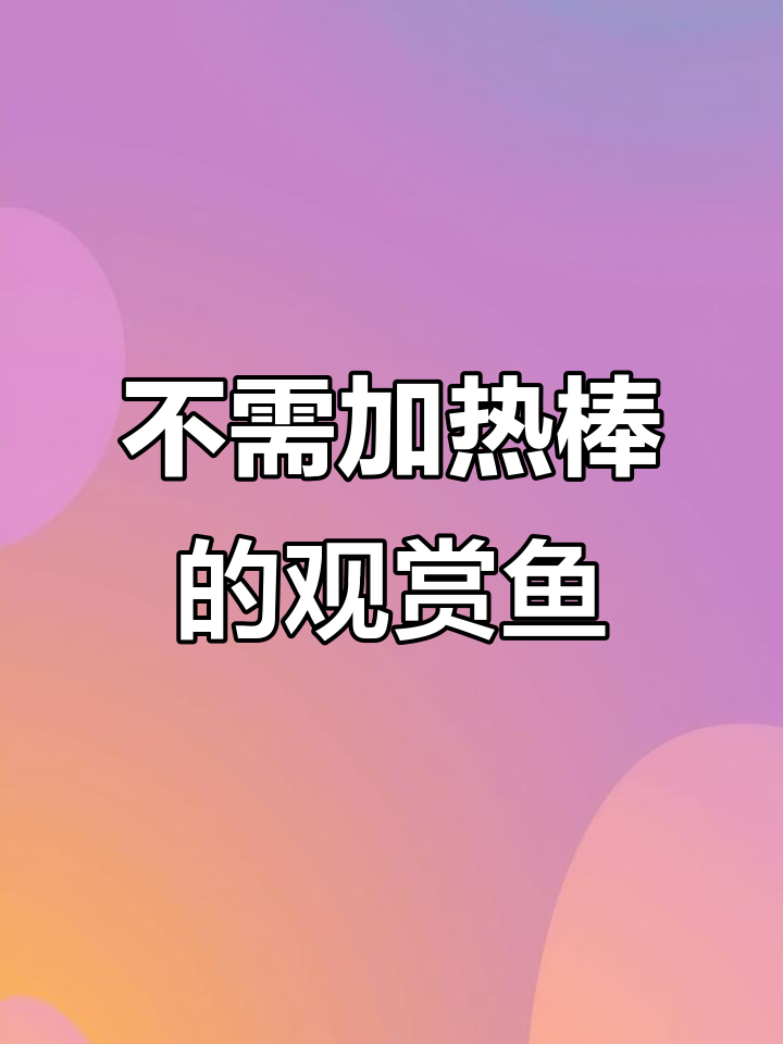 8种耐寒观赏鱼,无需加热棒也能养