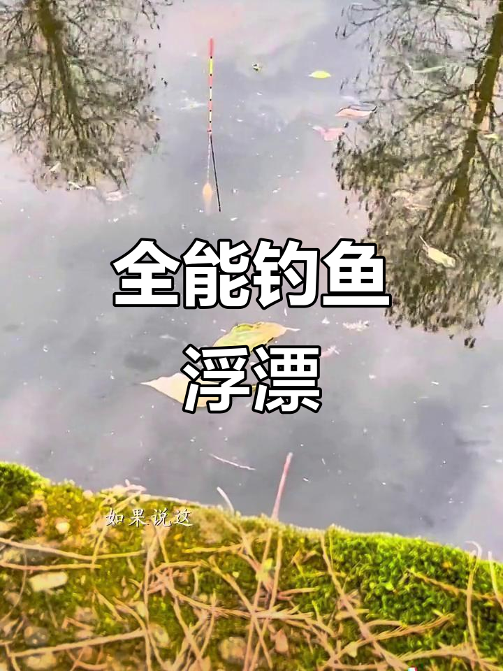 川泽浮漂，鲫鲤通用，全水域垂钓必备技巧