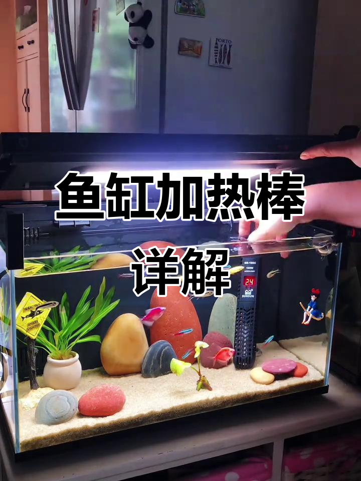 小米鱼缸加热棒,智能温控,安装调节全解析!