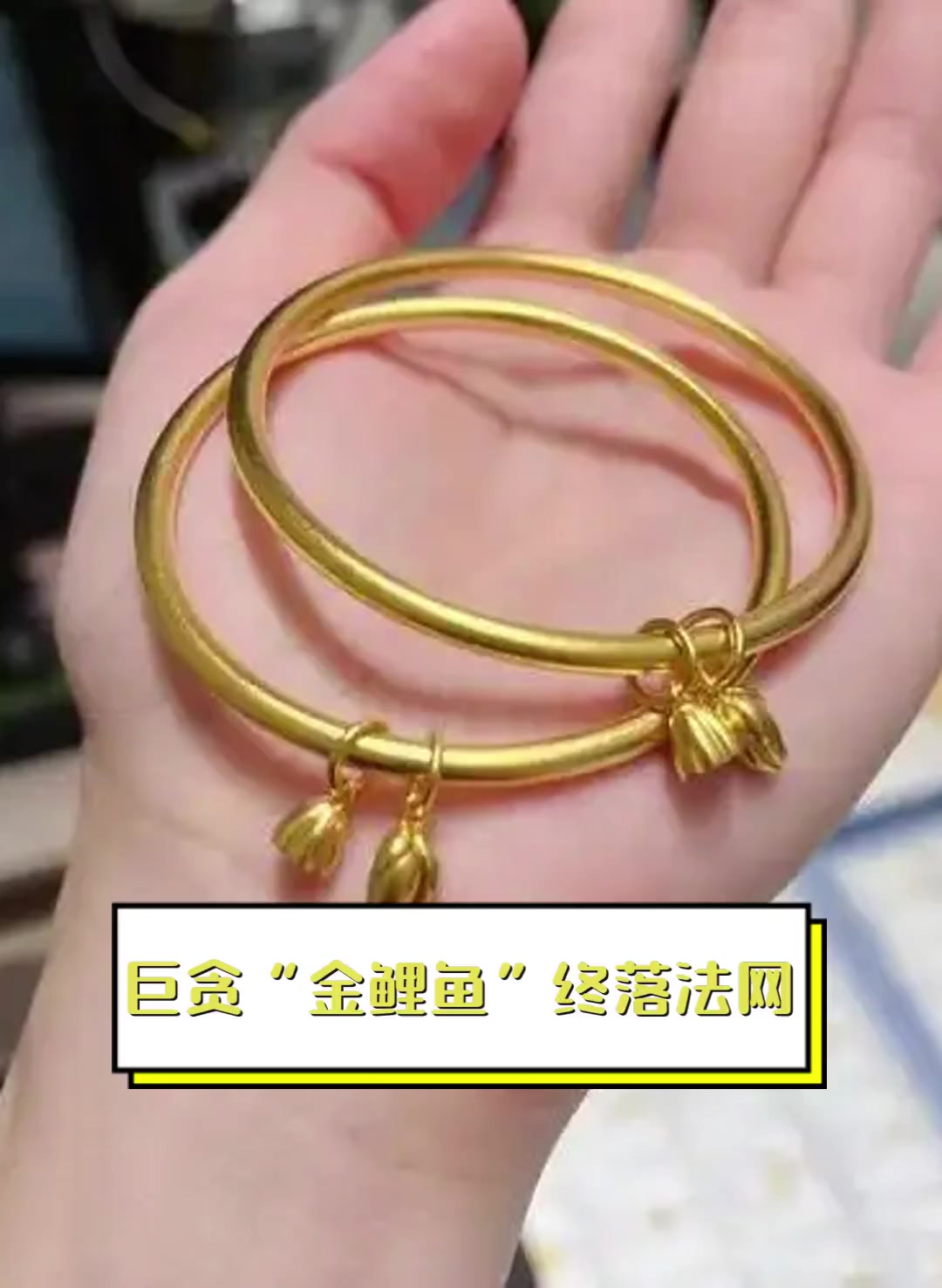 巨贪“金鲤鱼”终落法网