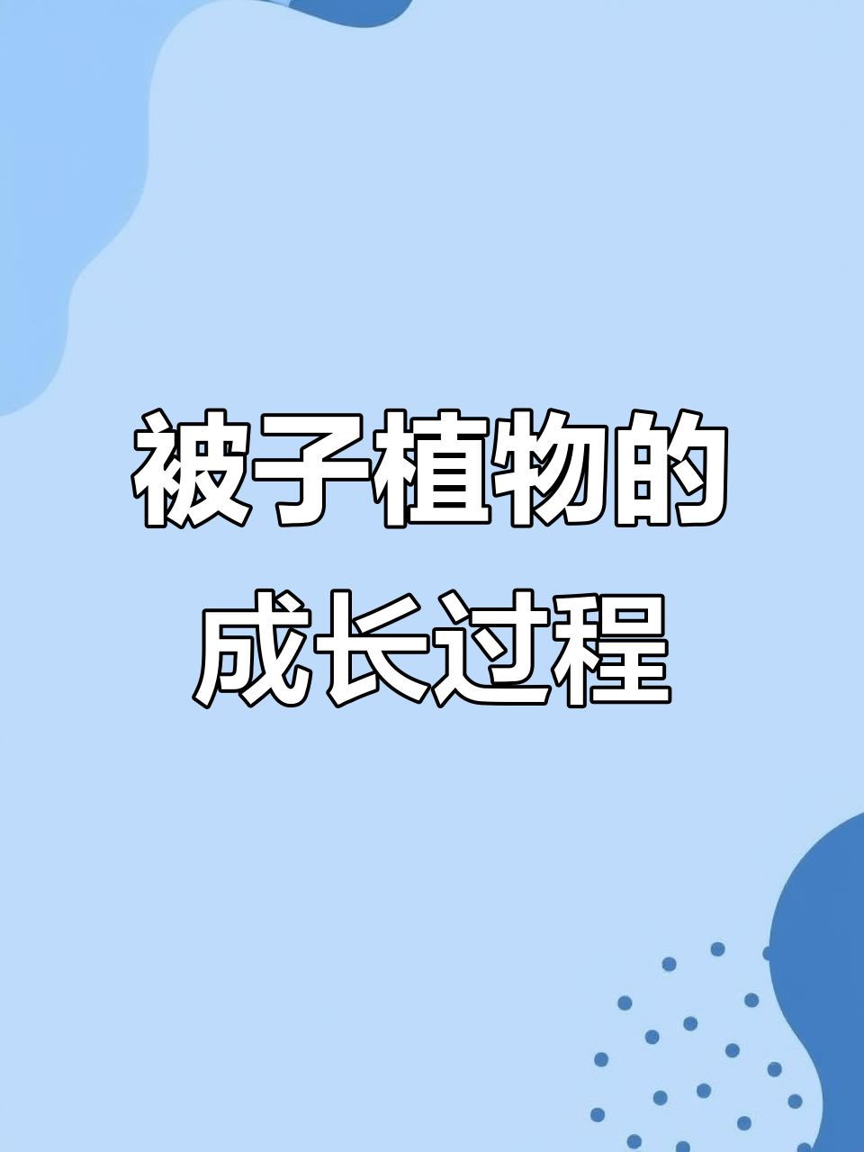 被子植物的一生:从种子到开花结果全解析