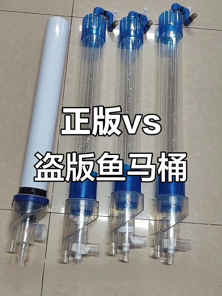 鱼马桶对比:仿冒与专利效果大不同