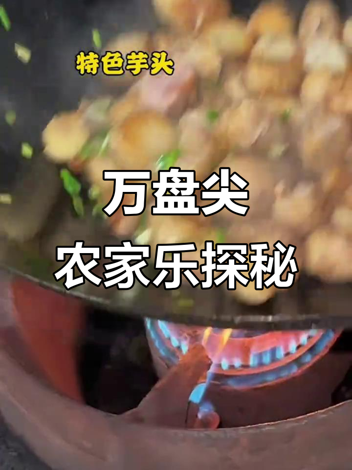 瑞安马屿万盘尖的农家乐体验,地道温州美食不容错过