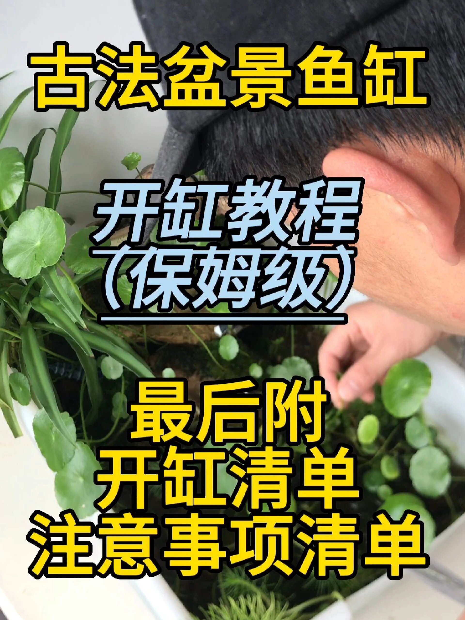 开缸教程来啦|古法生态盆景鱼缸