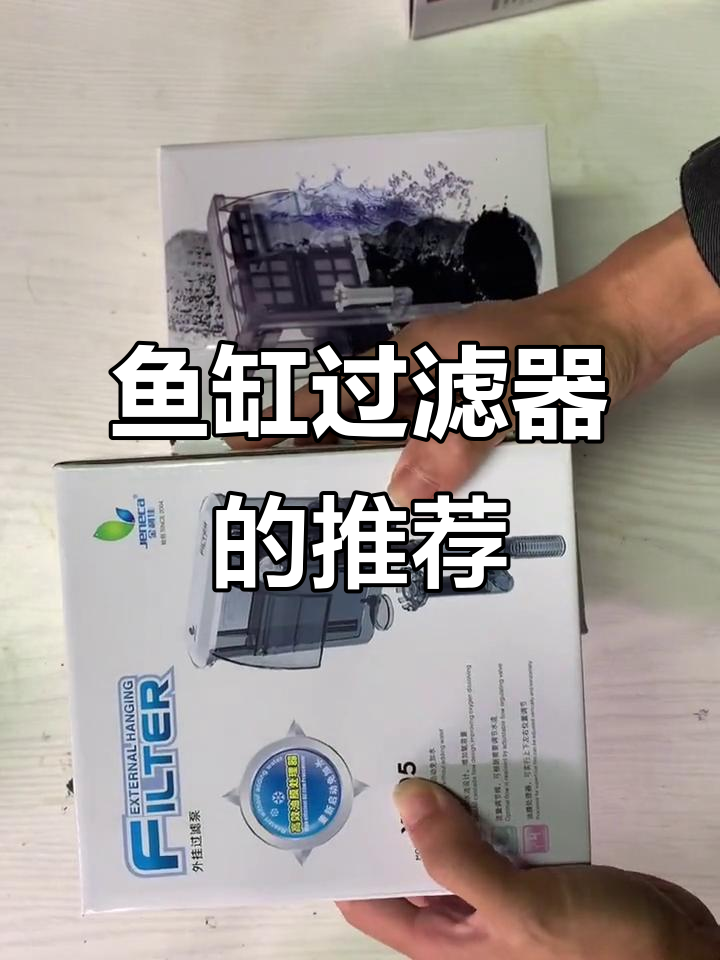 鱼缸过滤器选择指南：两款经典产品对比