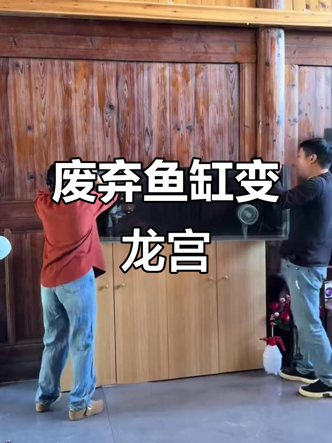废鱼缸变身水下龙宫,3D打印机助力创意造景