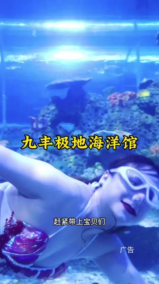 这个暑假不知道带小朋友去哪里玩,那就来九丰极地海洋馆