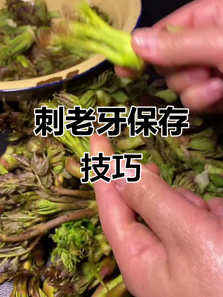 山野菜保鲜妙招,轻松储存刺老牙