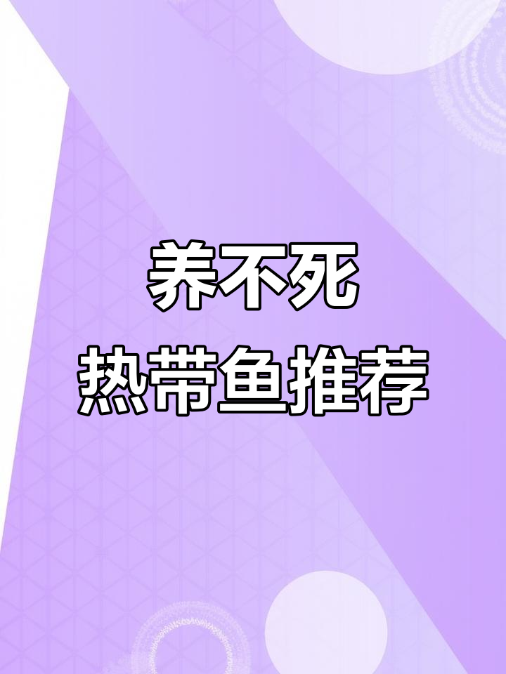 九种养不死的热带鱼,看看你养过几种?