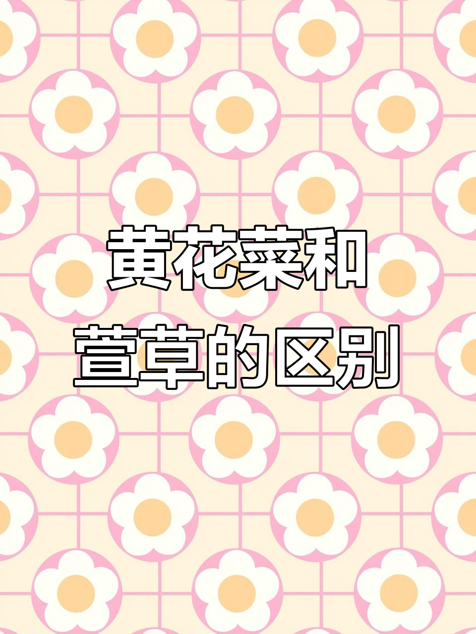 萱草与黄花菜，如何区分？