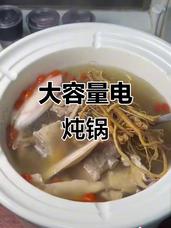 这款电炖锅,足够七八口人享用,超大容量超实用!