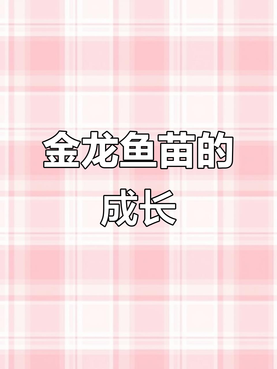 金龙鱼苗成长记：从过背到练手，水族世界中的精彩变化