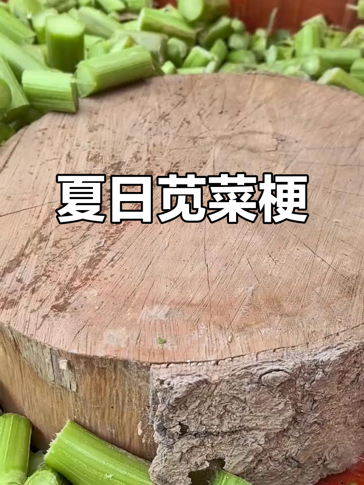 夏季苋菜梗正当时,做法简单,赶紧试试吧!