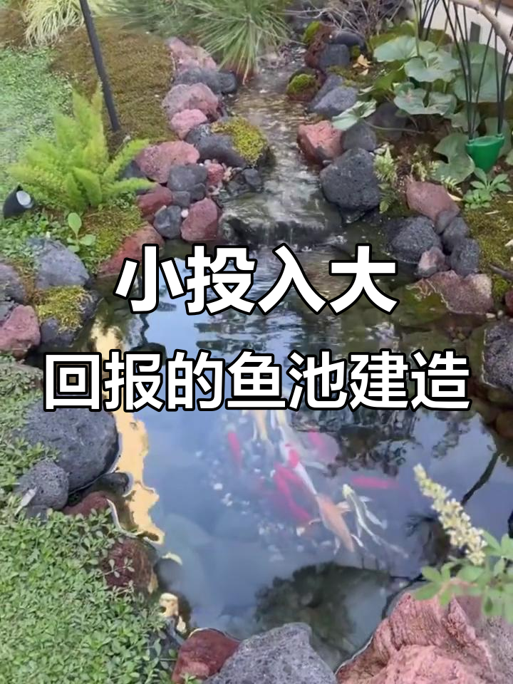 用最少的钱打造完美鱼池,水泥浇筑+防渗膜搞定一切