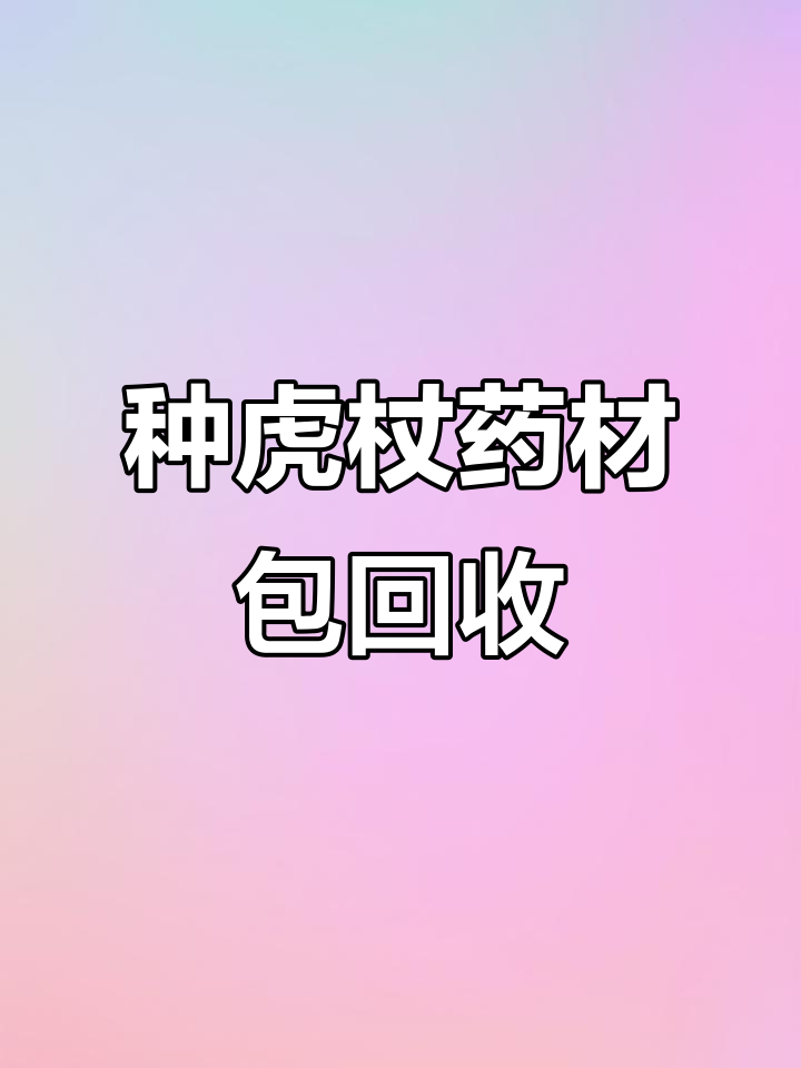 种植虎杖药材,酸味十足却有悠久历史