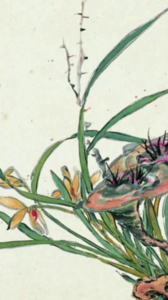 国画花卉水果蔬菜怎么画