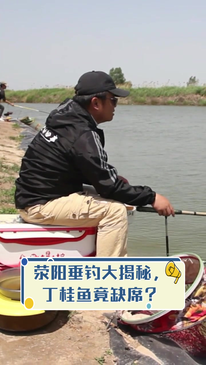 荥阳垂钓大揭秘,丁桂鱼竟缺席?