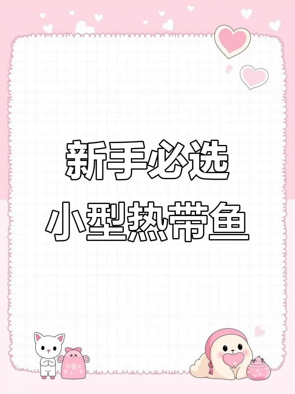适合新手养的小型热带鱼推荐,温和活泼又容易照顾