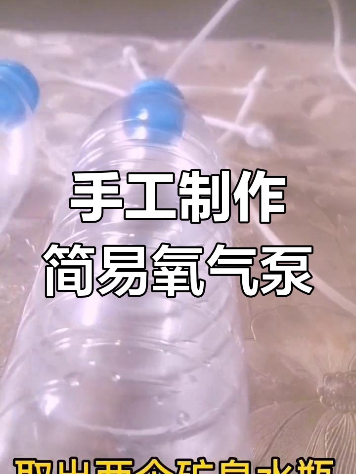 用废矿泉水瓶做简易鱼缸打氧机,轻松DIY不用电