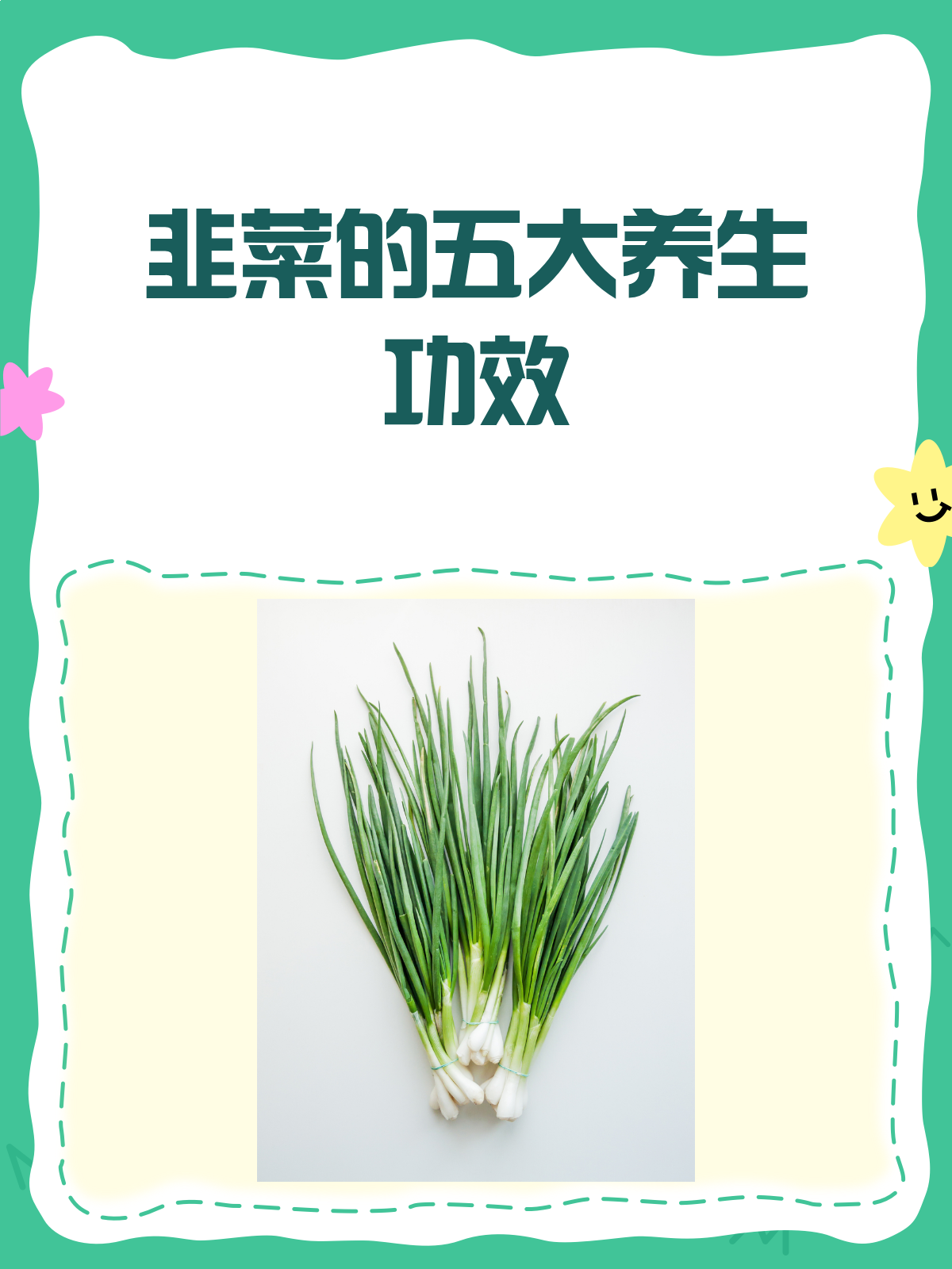 韭菜竟是“养生高手”?功效与作用大揭秘!