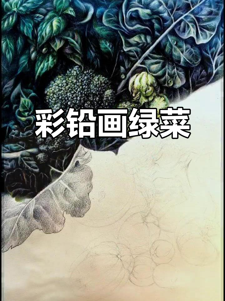 用彩铅绘制绿色蔬菜,手绘日常分享