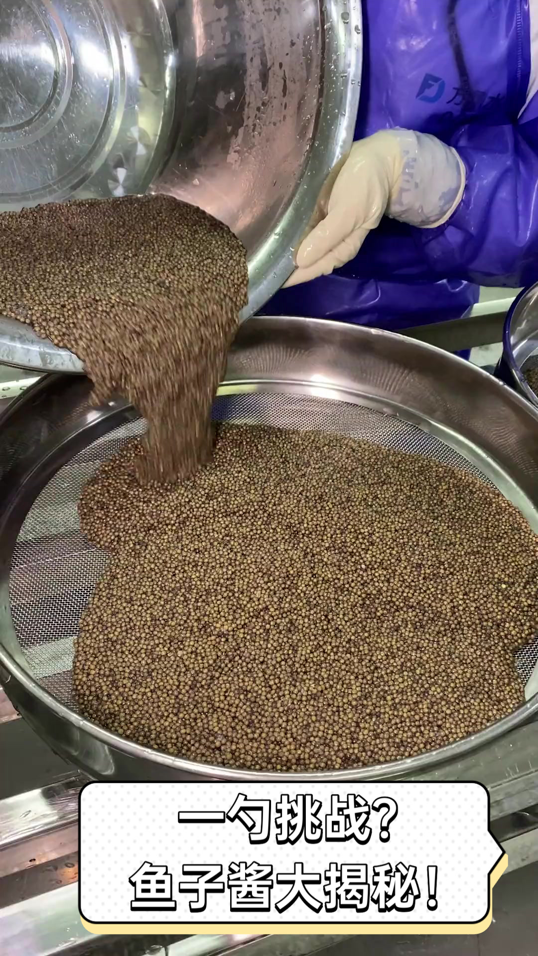 一勺挑战?鱼子酱大揭秘!
