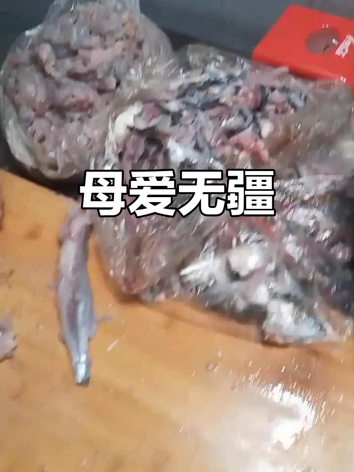 假期为儿子做霸鱼饺子,22斤鱼肉五小时手工制作