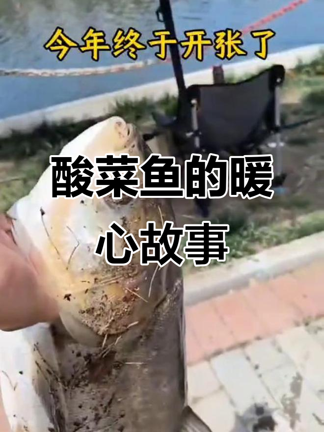 酸菜鱼的美味与感动,触动心坎的温暖话语