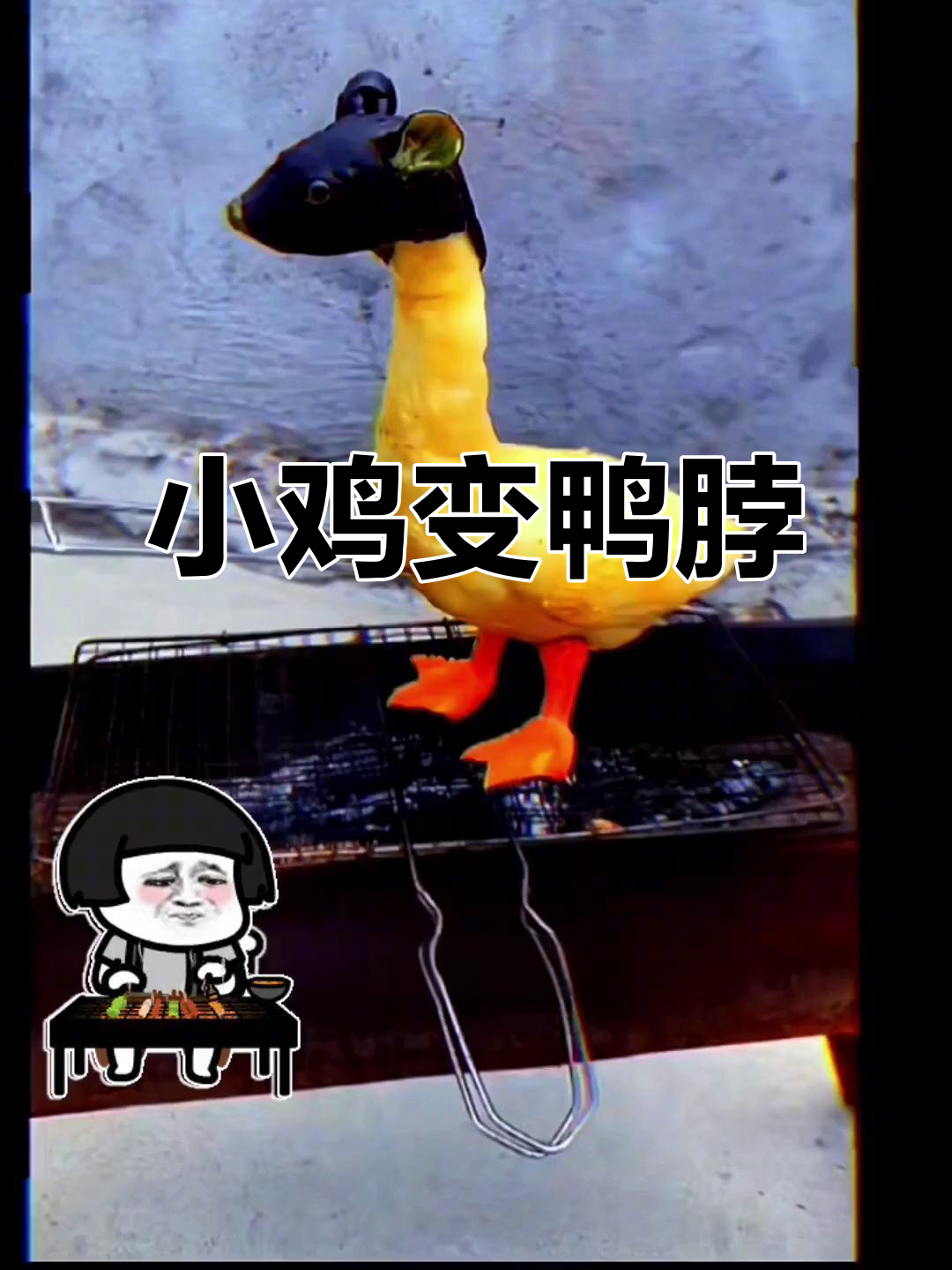 这只小鸡被当成鸭脖,竟然还“服”了!