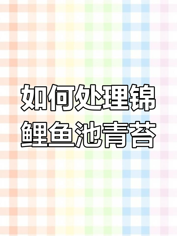 锦鲤鱼池长藻怎么办?从清理到预防全攻略